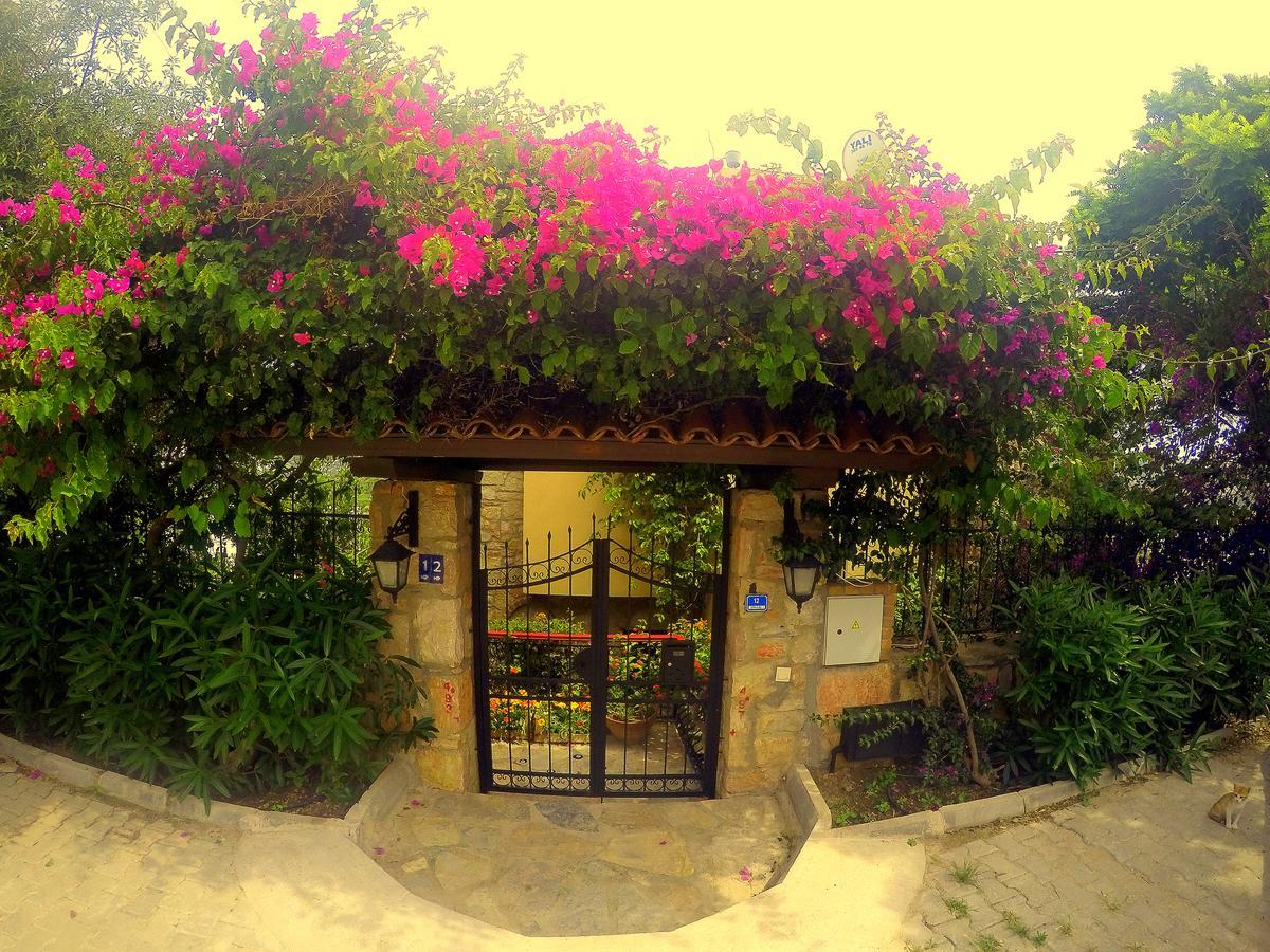 Villa Cosy Yalıkavak Dış mekan fotoğraf