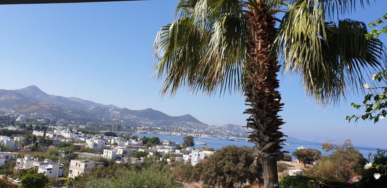 Villa Cosy Yalıkavak Dış mekan fotoğraf